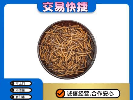 周口市郸城回收散虫草